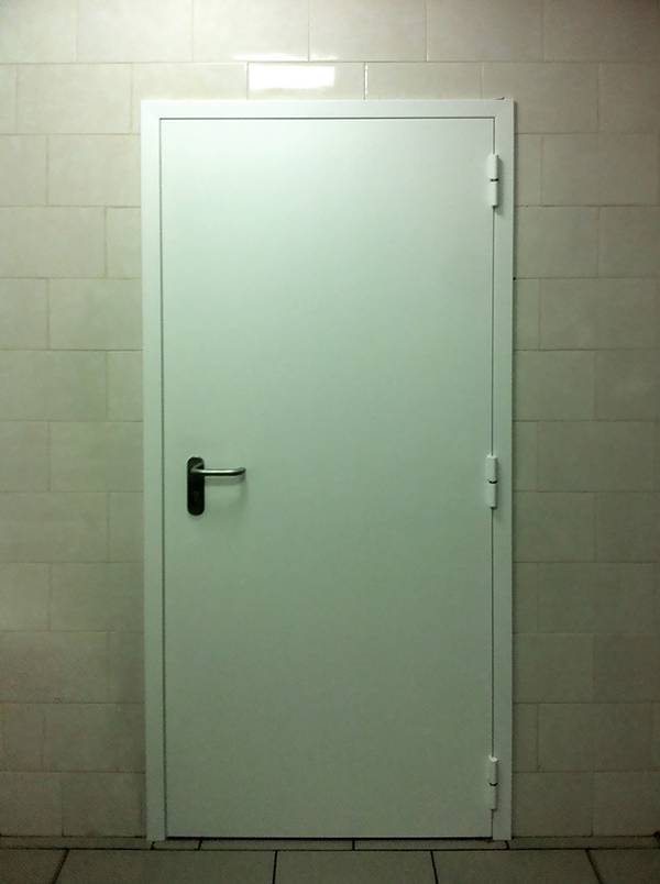 Противопожарная однопольная дверь