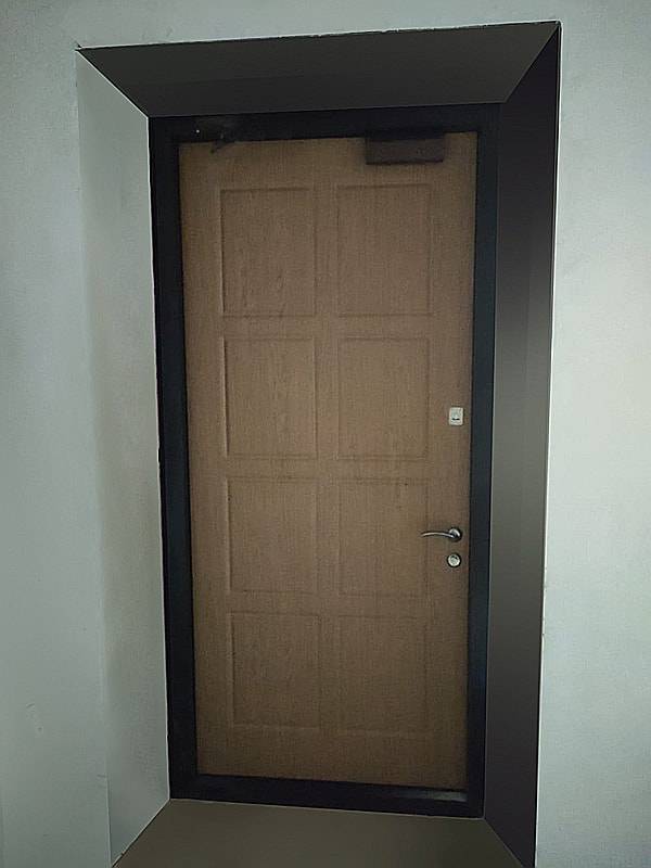 Входная дверь, вид изнутри (офисное помещение, Октябрьский)